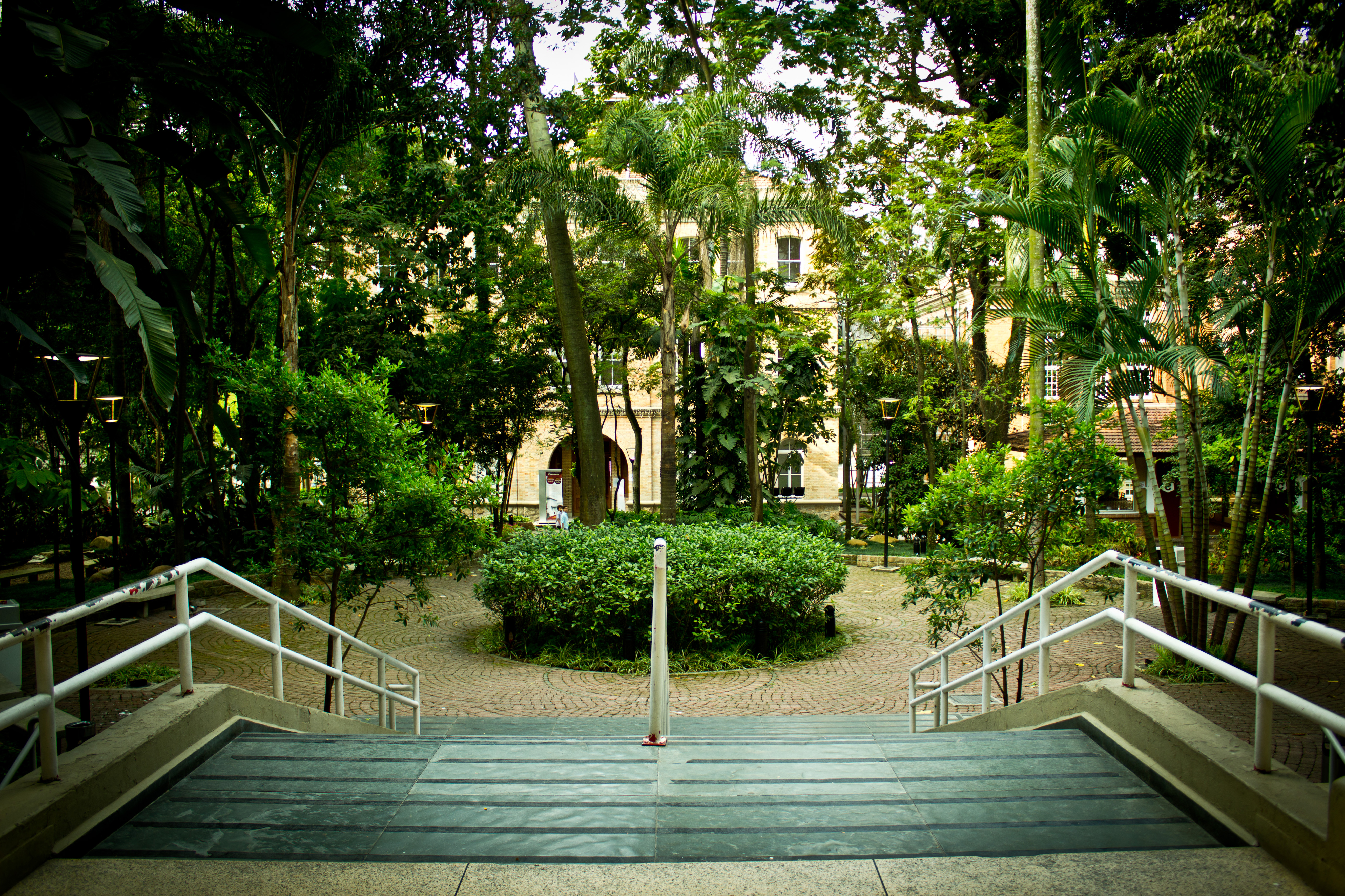 Imagem mostra o bosque do campus Higienópolis