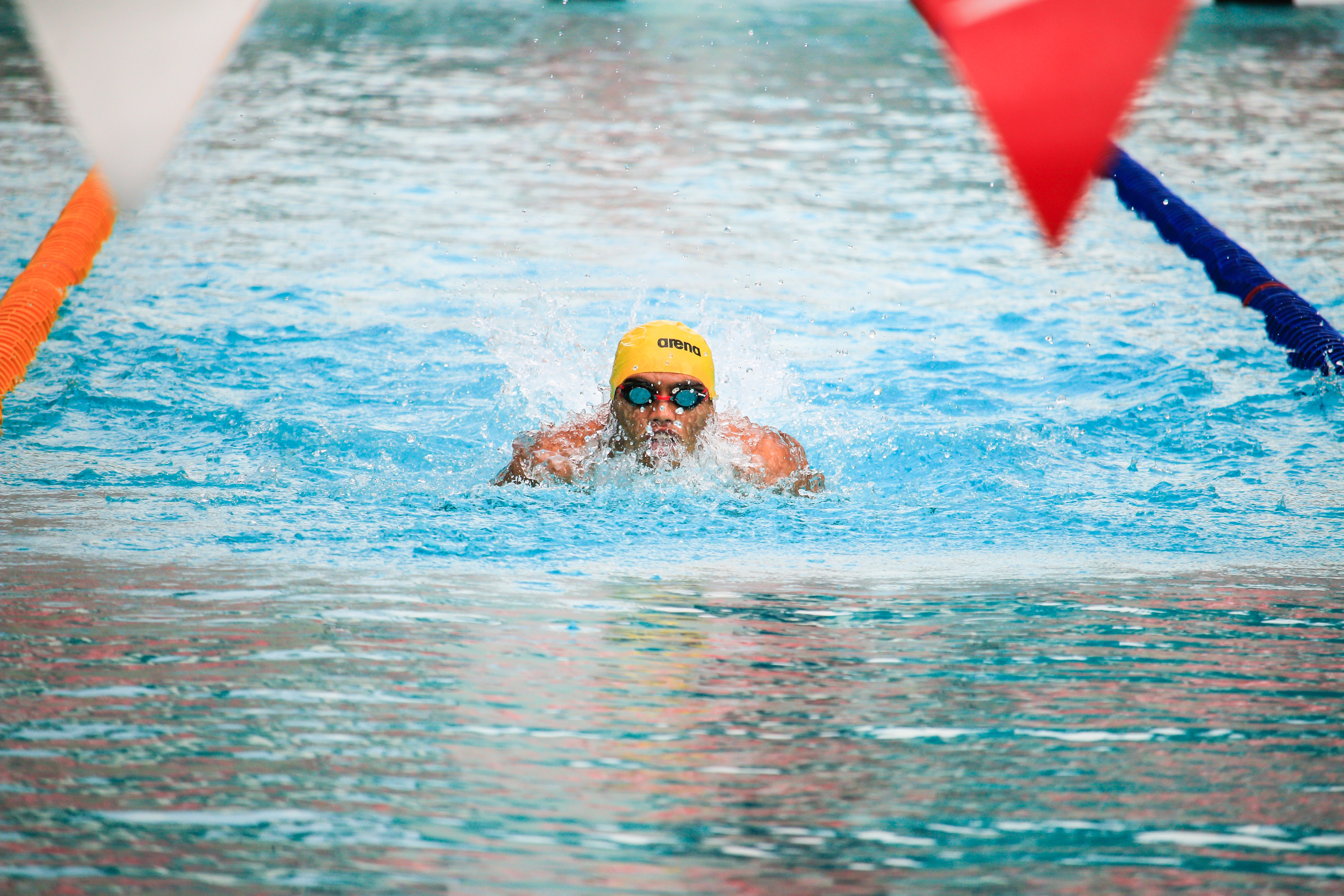 Nadador treinando em piscina olímpica. 