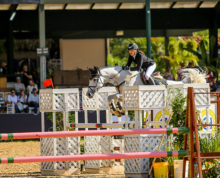cavalo com amazona salta sobre obstáculos 