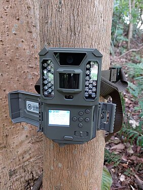 Câmera de ação em Sons of the Forest: onde encontrar vídeos